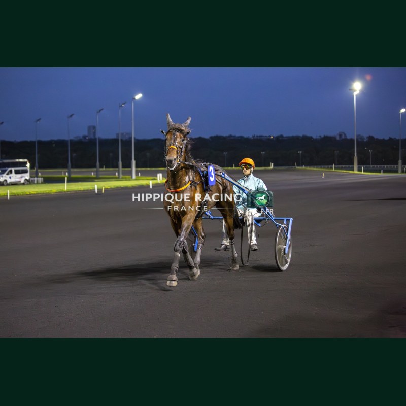 Course 8 29/05/2026 - photos course hippodrome paris vincennes trot