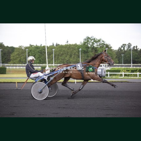 Heat Course 2 02/06/2026