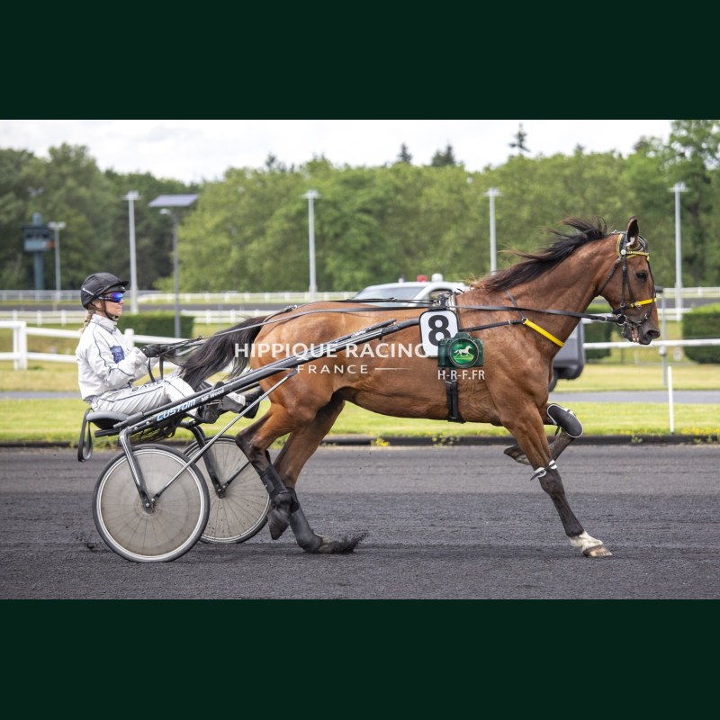 Heat Course 3 02/06/2026