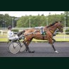 Heat Course 3 02/06/2026