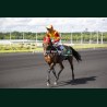 Course 3 02/06/2026
