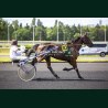 Heat Course 4 02/06/2026