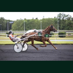 Heat Course 6 02/06/2026