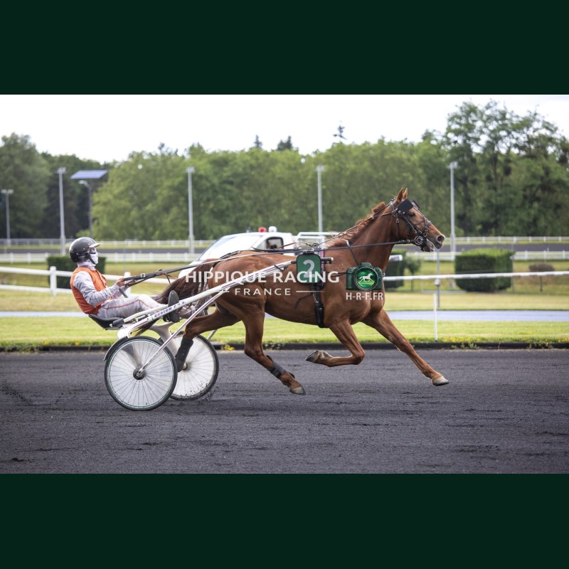 Heat Course 6 02/06/2026
