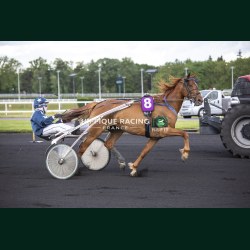 Heat Course 7 02/06/2026