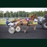 Heat Course 7 02/06/2026