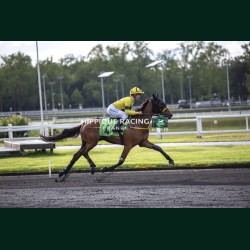 Heat Course 8 02/06/2026