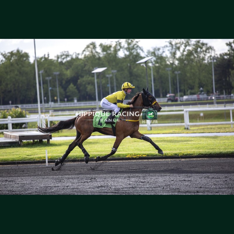 Heat Course 8 02/06/2026