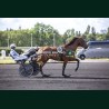 Heat Course 1 05/06/2026