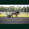 Heat Course 2 05/06/2026
