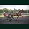 Heat Course 6 05/06/2026