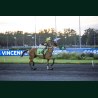 Heat Course 8 05/06/2026
