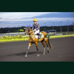 Course 8 05/06/2026