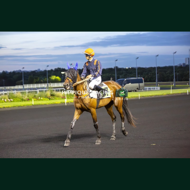 Course 8 05/06/2026