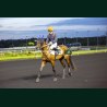Course 8 05/06/2026