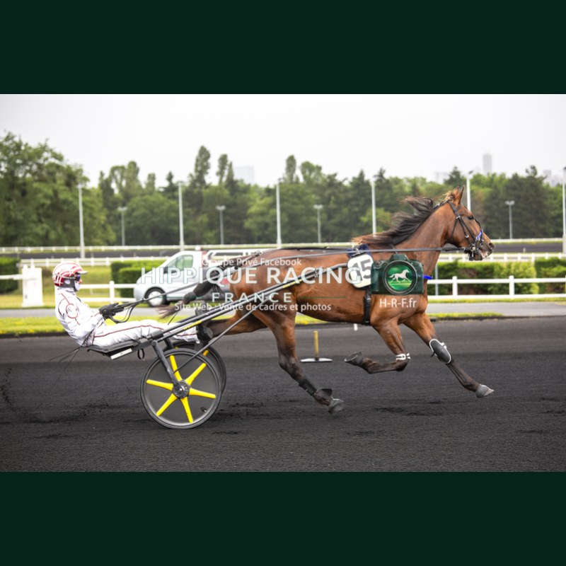 Heat Course 1 06/06/2026 - photos course hippodrome paris vincennes...