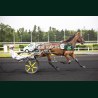 Heat Course 1 06/06/2026 - photos course hippodrome paris vincennes...