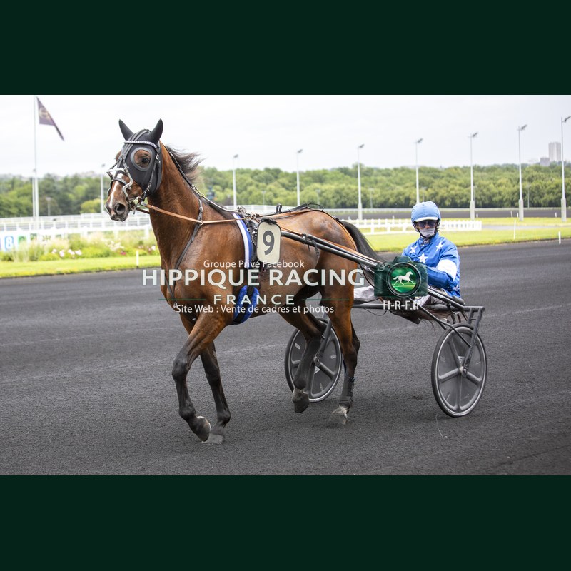 Course 1 06/06/2026 - photos course hippodrome paris vincennes trot