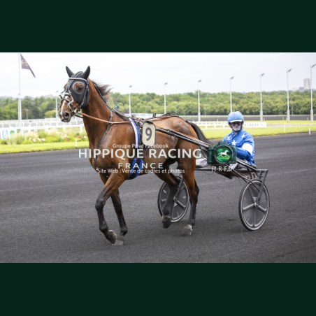 Course 1 06/06/2026 - photos course hippodrome paris vincennes trot