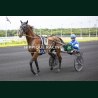 Course 1 06/06/2026 - photos course hippodrome paris vincennes trot