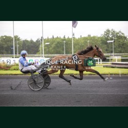 Heat Course 2 06/06/2026 - photos course hippodrome paris vincennes...
