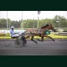 Heat Course 2 06/06/2026 - photos course hippodrome paris vincennes...