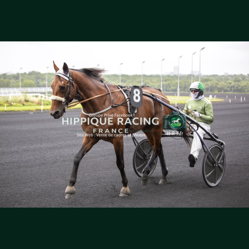 Course 2 06/06/2026 - photos course hippodrome paris vincennes trot
