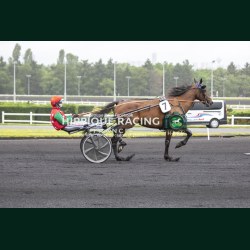 Heat Course 3 06/06/2026 - photos course hippodrome paris vincennes...