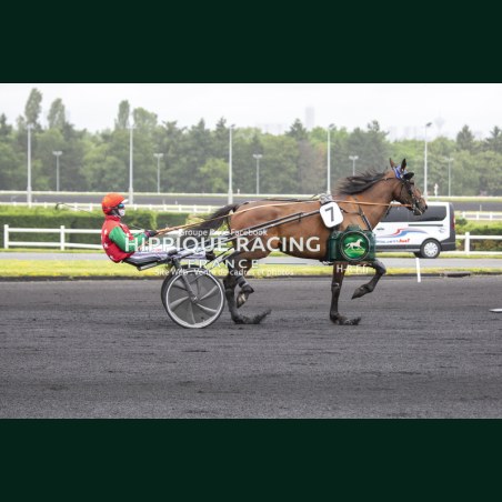 Heat Course 3 06/06/2026 - photos course hippodrome paris vincennes...