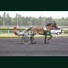 Heat Course 3 06/06/2026 - photos course hippodrome paris vincennes...
