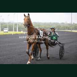Course 3 06/06/2026 - photos course hippodrome paris vincennes trot