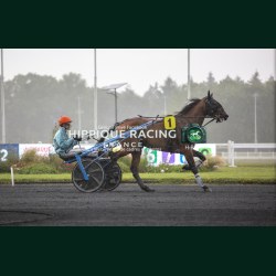 Heat course 4 06/06/20626 - photos course hippodrome paris vincenne...