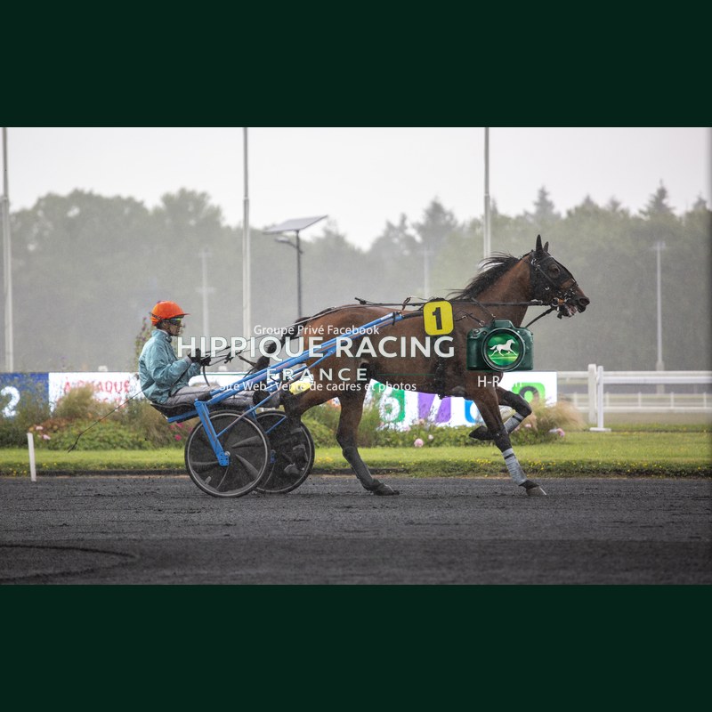 Heat course 4 06/06/20626 - photos course hippodrome paris vincenne...