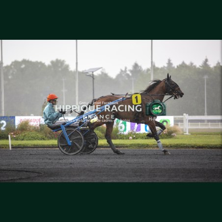 Heat course 4 06/06/20626 - photos course hippodrome paris vincenne...