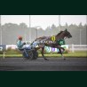 Heat course 4 06/06/20626 - photos course hippodrome paris vincenne...