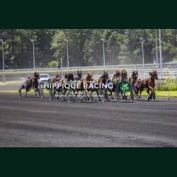 Course 4 06/06/2026 - photos course hippodrome paris vincennes trot