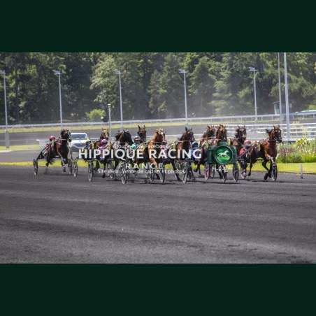 Course 4 06/06/2026 - photos course hippodrome paris vincennes trot
