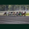 Course 4 06/06/2026 - photos course hippodrome paris vincennes trot