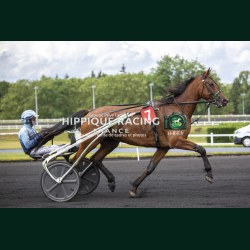 Heat Course 5 06/06/2026 - photos course hippodrome paris vincennes...