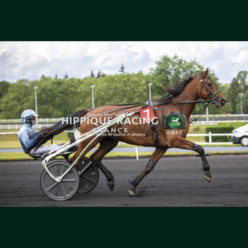 Heat Course 5 06/06/2026 - photos course hippodrome paris vincennes...