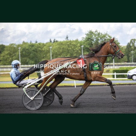 Heat Course 5 06/06/2026 - photos course hippodrome paris vincennes...
