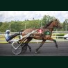 Heat Course 5 06/06/2026 - photos course hippodrome paris vincennes...