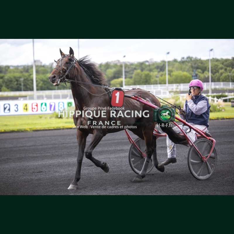 Course 5 06/06/2026 - photos course hippodrome paris vincennes trot