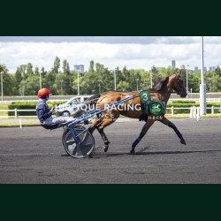 Heat Course 6 06/06/2026 - photos course hippodrome paris vincennes...