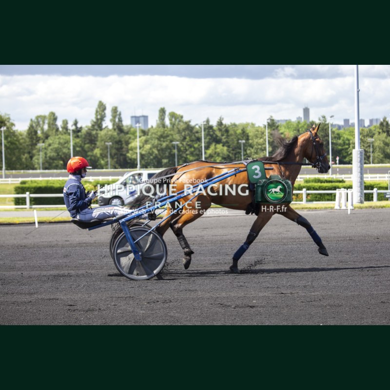 Heat Course 6 06/06/2026 - photos course hippodrome paris vincennes...