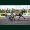 Heat Course 6 06/06/2026 - photos course hippodrome paris vincennes...