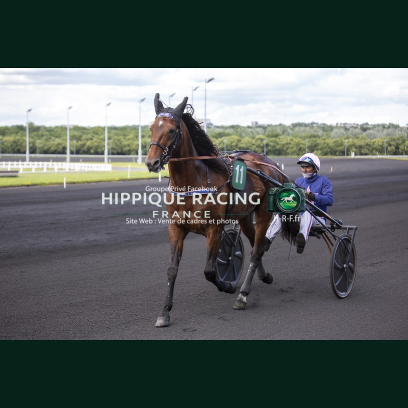 Course 6 06/06/2026 - photos course hippodrome paris vincennes trot