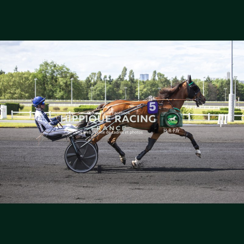Heat Course 7 06/06/2026 - photos course hippodrome paris vincennes...
