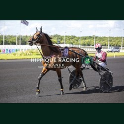 Course 7 06/06/2026 - photos course hippodrome paris vincennes trot