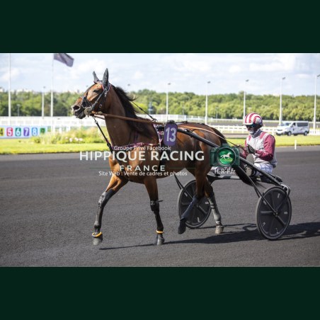 Course 7 06/06/2026 - photos course hippodrome paris vincennes trot